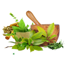 Health & Medicine